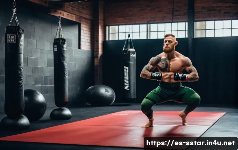 콘 오코너 UFC 챔피언십 경기 관련 이미지 1